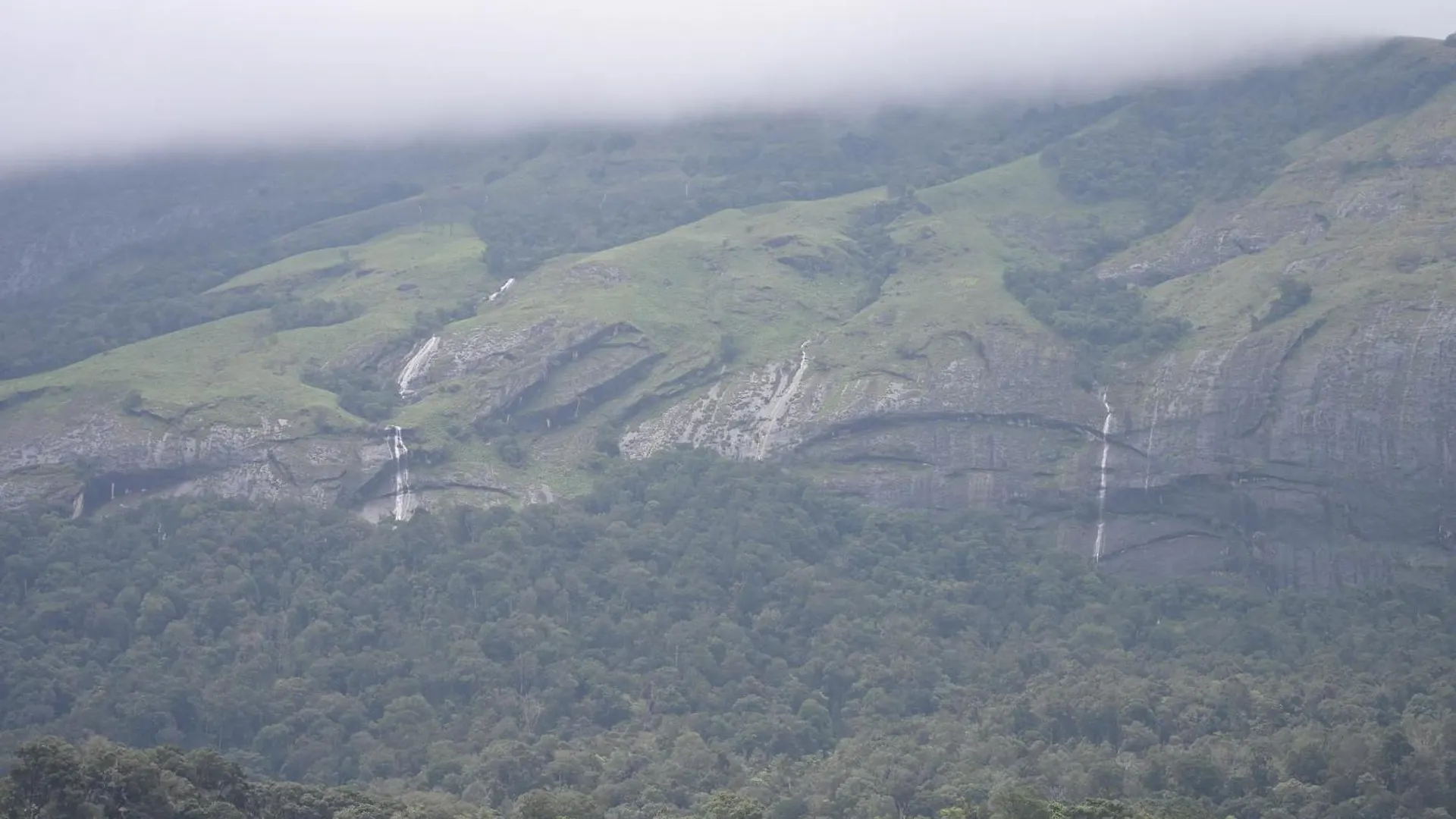 Hotel Spring Muunnar, Munnar Rezort