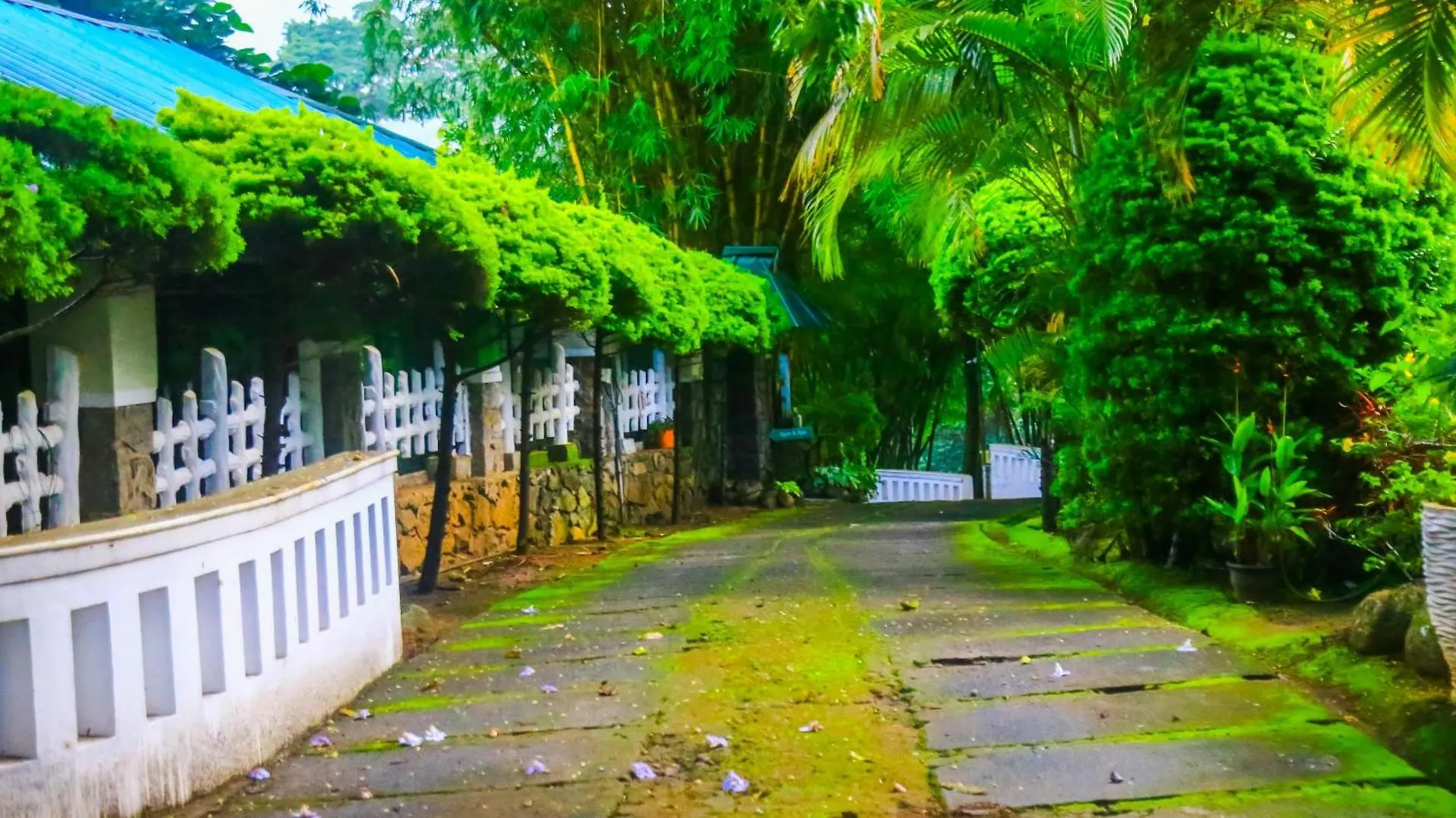 Spring Muunnar, Munnar Hotel Resort