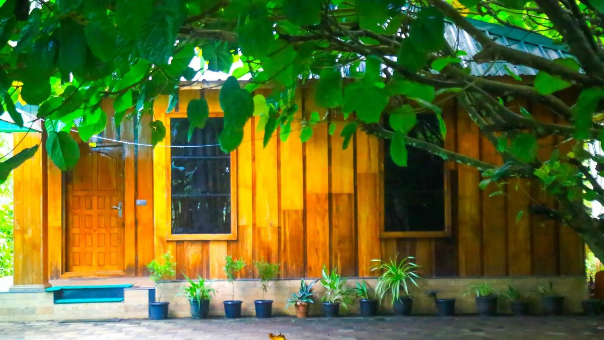 Spring Muunnar, Munnar Hotel Resort