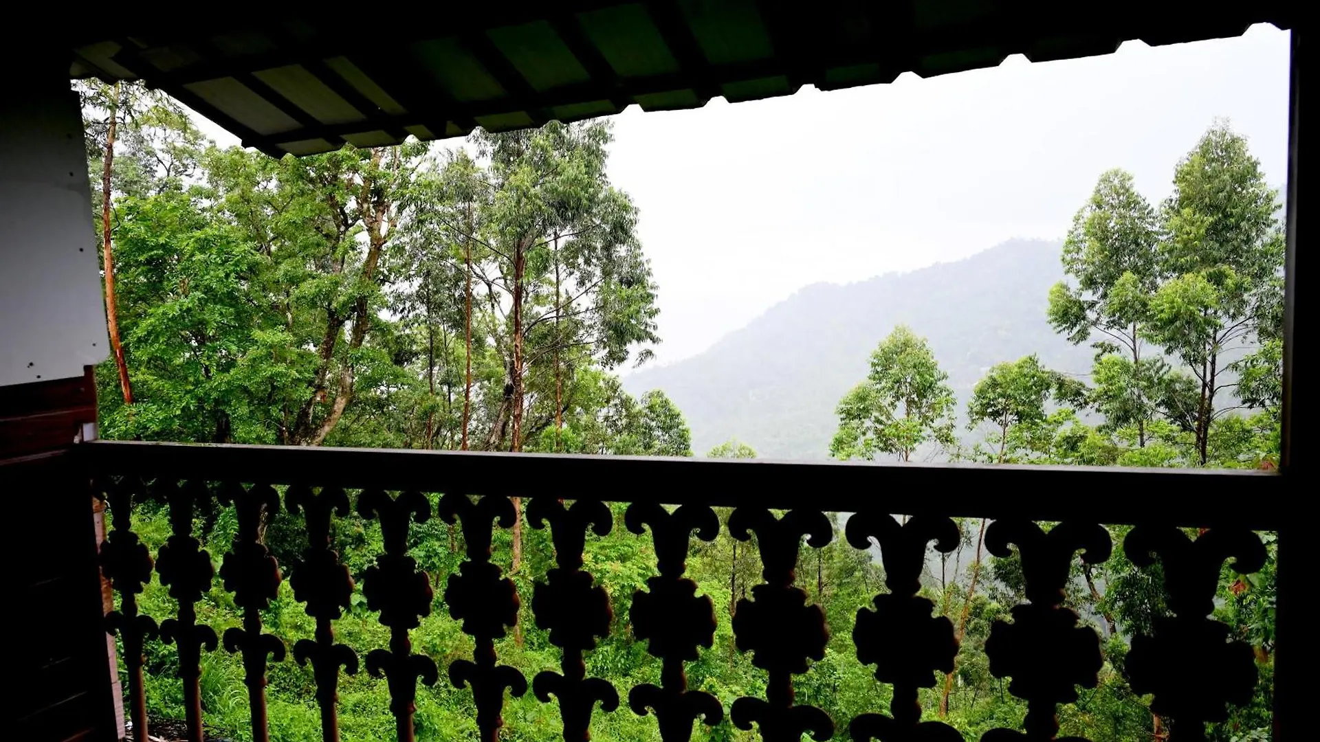 Spring Muunnar, Munnar Hotel 4*,  India