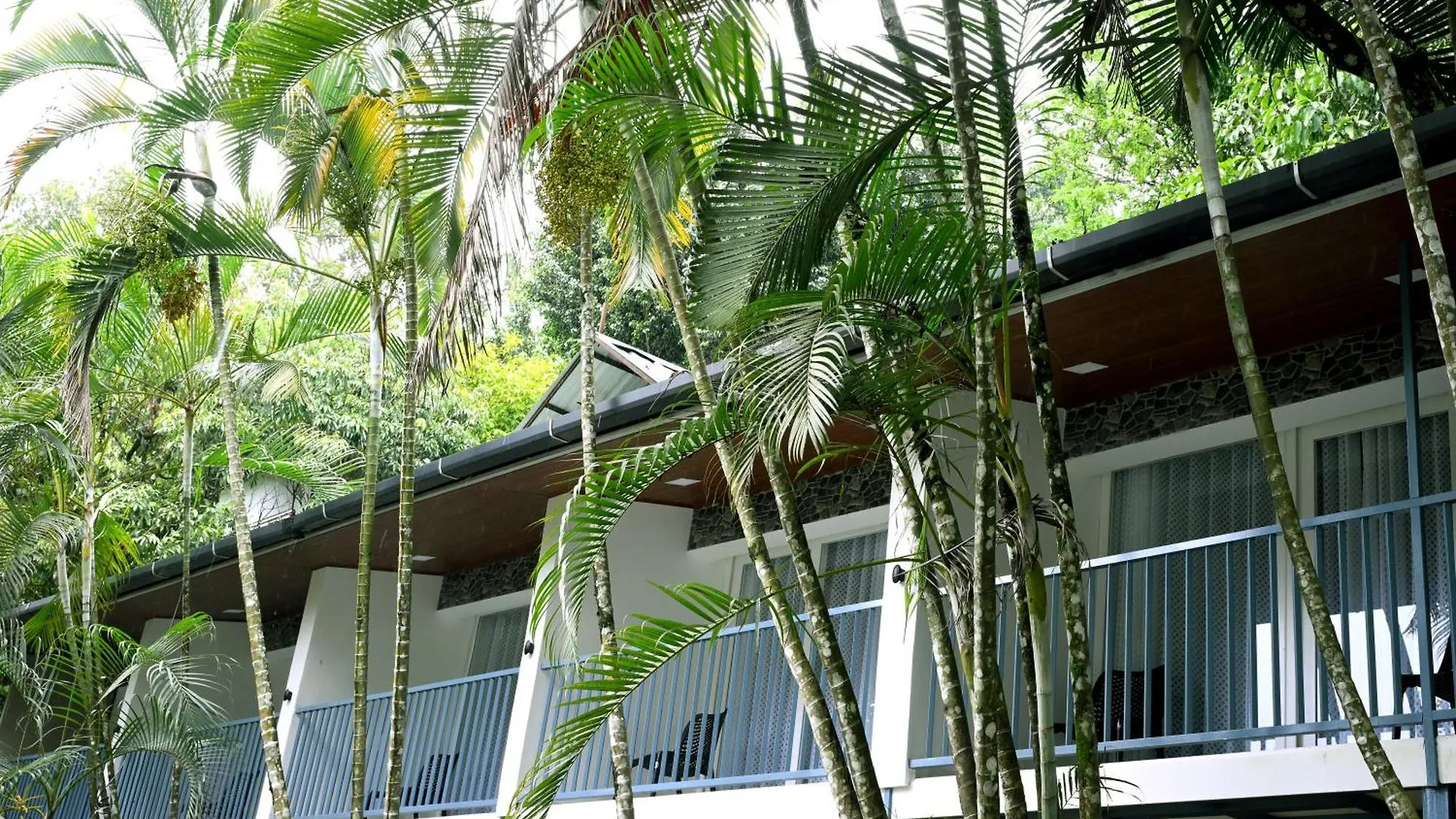 Spring Muunnar, Munnar Hotel 4*,