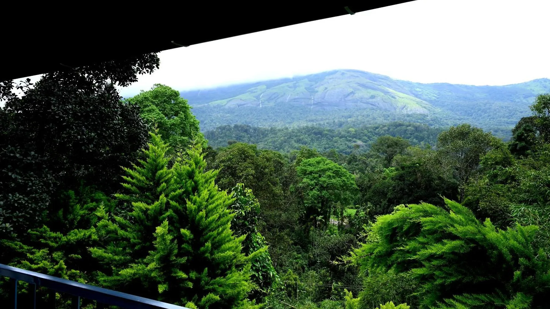 Spring Muunnar, Munnar Hotel Resort