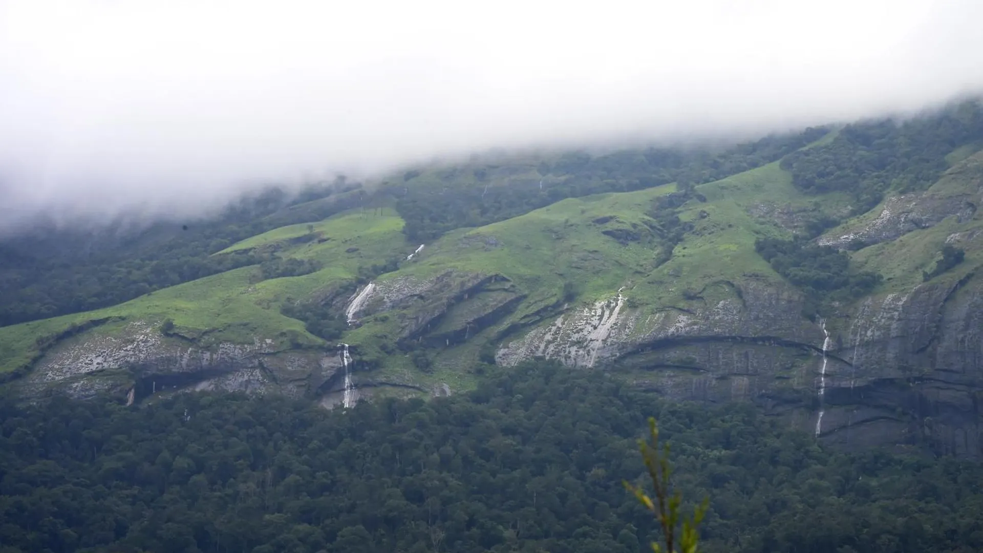 Spring Muunnar, Munnar Hotel