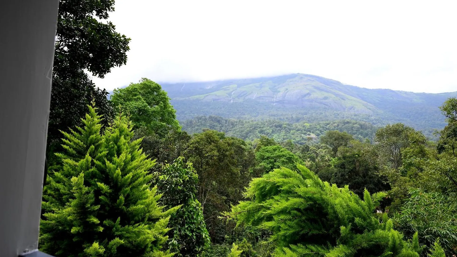 Resort Spring Muunnar, Munnar Hotel